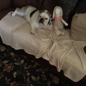 Meet your Posher, Mary